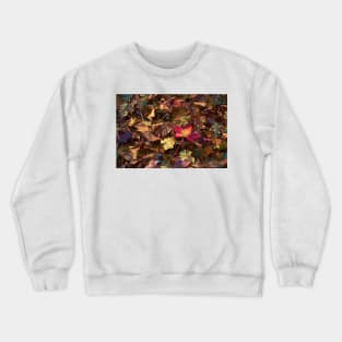 Colors 172 Crewneck Sweatshirt